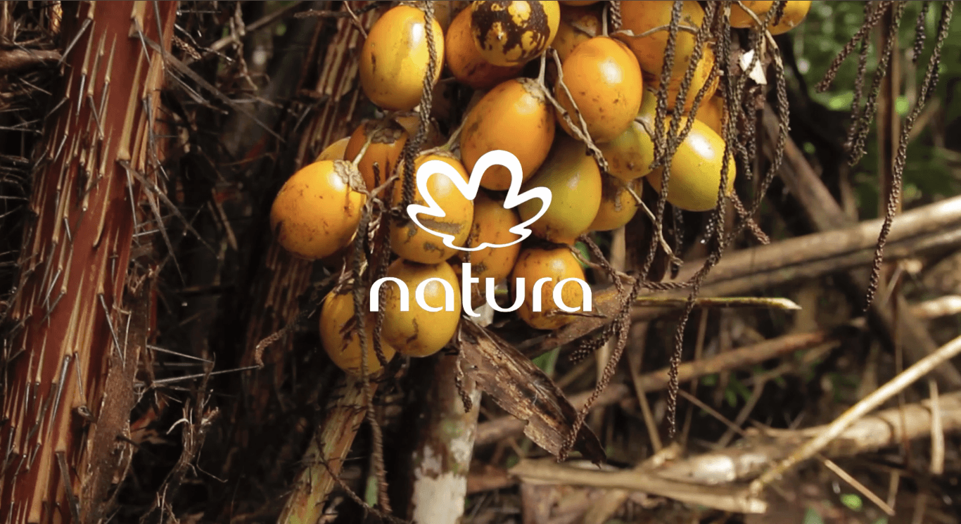 Natura Influenciadores