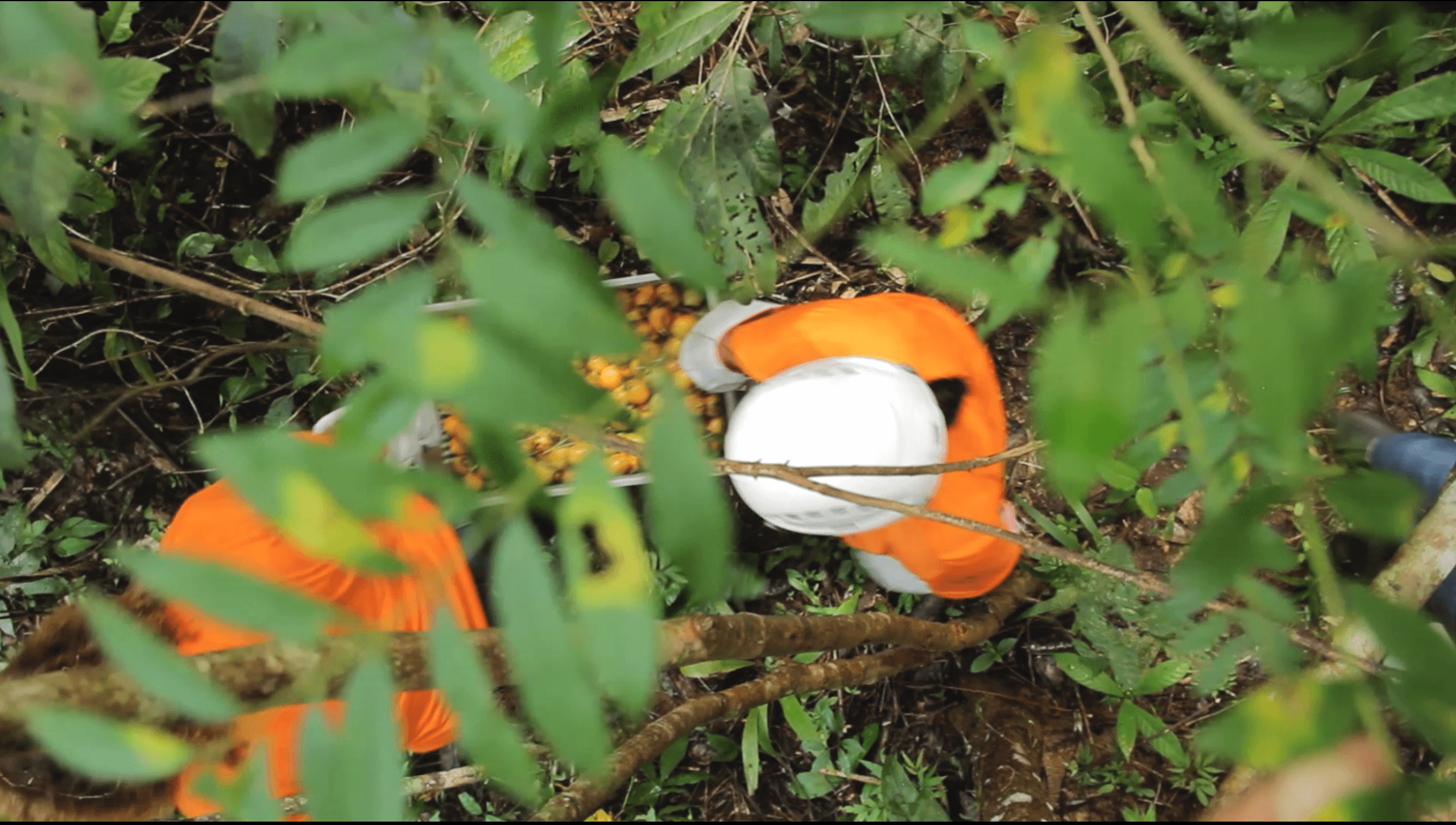 Natura Influenciadores - Imagem 3