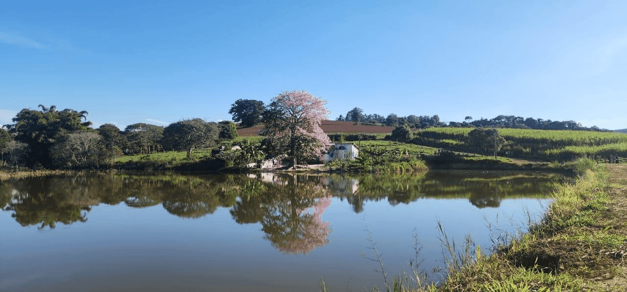 A Nova Era de Gaia e os sonhos que valem a pena